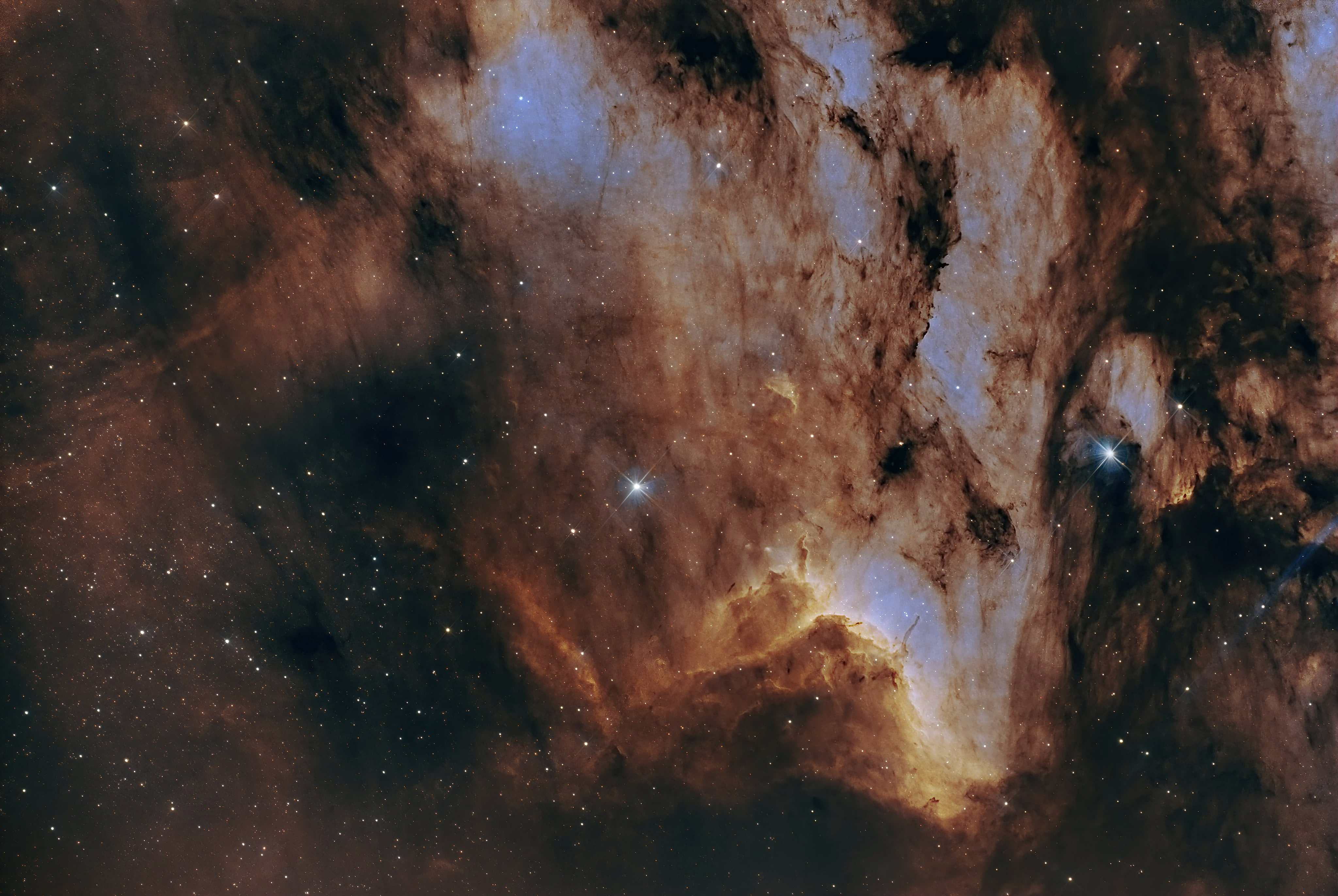 Pelican Nebula